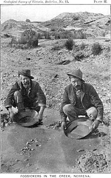 The Australian Gold Rush - Test Your Knowledge - Quiz